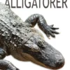 Alligatorer