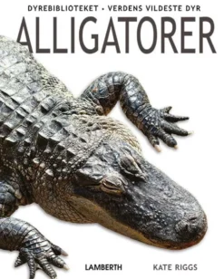 Alligatorer