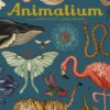 Animalium