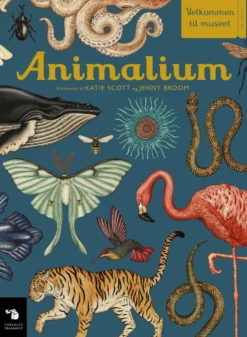 Animalium