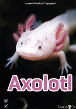 Axolotl