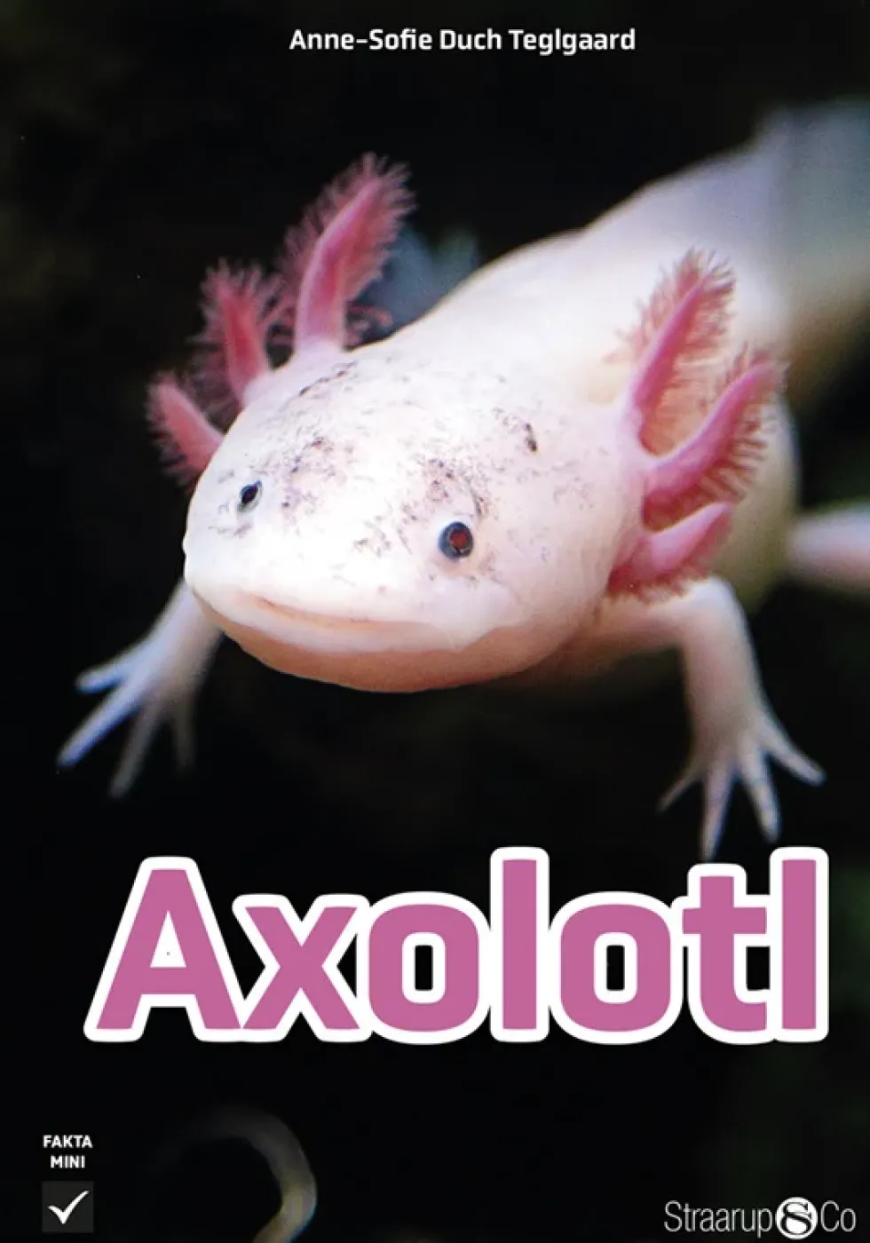 Axolotl