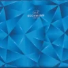 Beckmann Tablet Sleeve