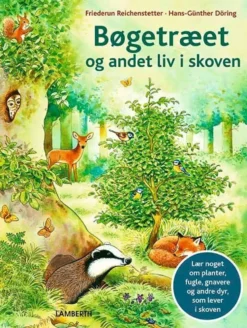 Bøgetræet og andet liv i skoven
