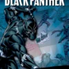 Black Panther - Kampen om Wakanda