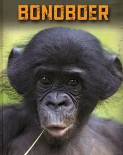 Bonoboer