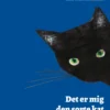 Det er mig den sorte kat