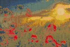 Diamond Art Valmuer/Natur 20X30Cm