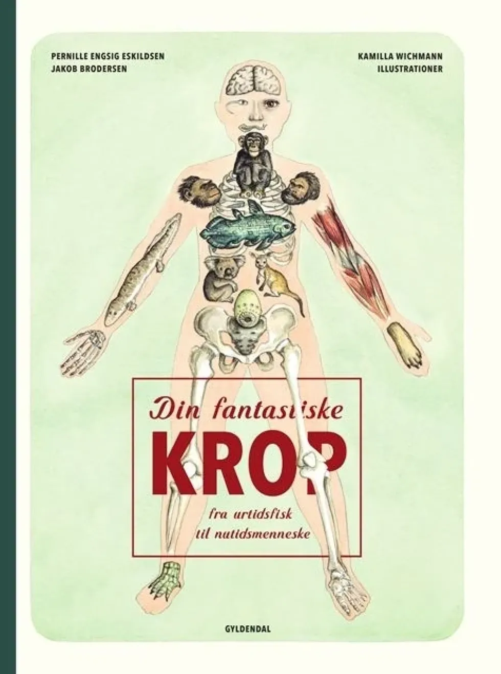 Din fantastiske krop - fra urtidsfisk til nutidsmenneske