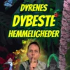 Dyrenes DYBESTE Hemmeligheder