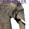 Elefanter