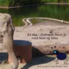 En dag i Zoologisk Have med Noel og Silke