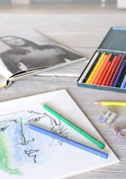 Farveblyant polychromos Faber-Castell 24 farver