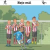 FC Fodboldvenner 6 - Høje mål
