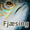Fjæsing