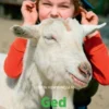 Ged, Grøn Fagklub
