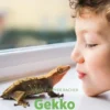 Gekko, Grøn Fagklub