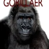 Gorillaer