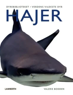 Hajer