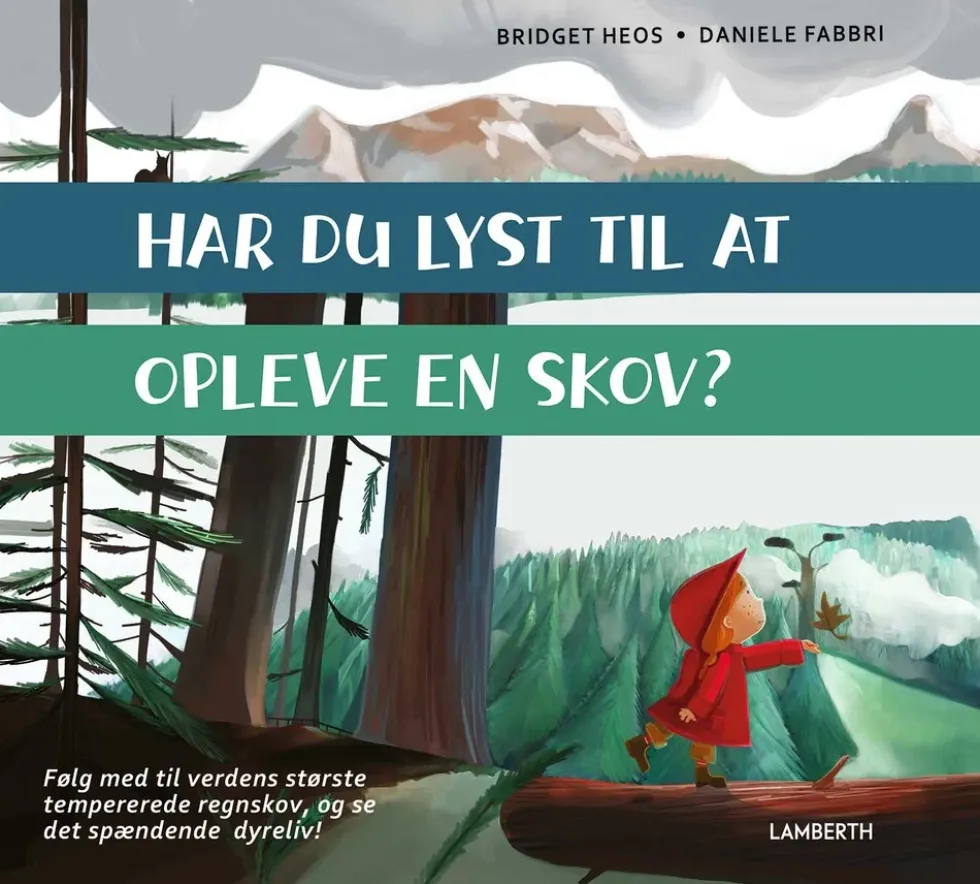 Har du lyst til at opleve en skov?