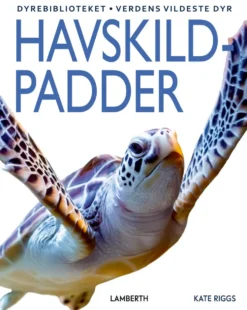 Havskildpadder