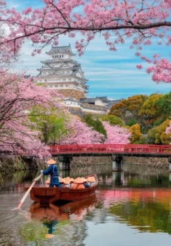 Himeji Castle in Spring 1000 brikker
