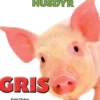 HUSDYR: Gris