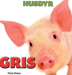 HUSDYR: Gris
