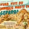 Hvad, hvis du virkelig mødte en gepard?