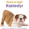 Hvem er jeg? Kæledyr