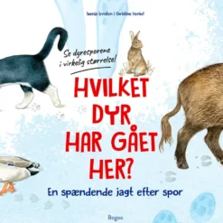 Hvilket dyr har gået her? Se dyresporene i virkelig størrelse!