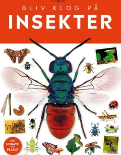 Insekter