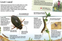 Insekter og edderkopper
