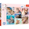 In the Cat World 100 brikker