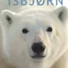 Isbjørn