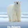 Isbjørn, Grøn Fagklub