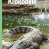 Krokodille, Grøn Fagklub