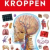 Kroppen