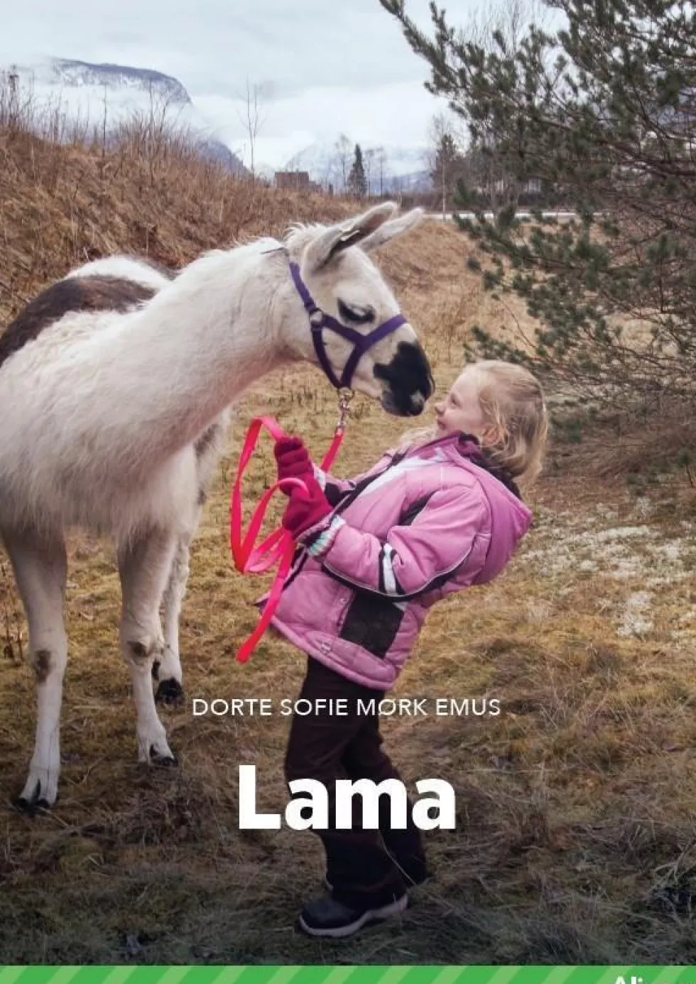 Lama, Grøn Fagklub