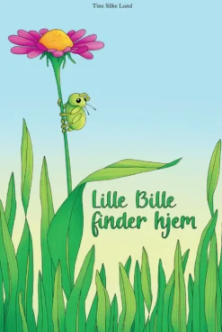Lille Bille finder hjem
