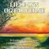 Lille Lyn og farverne