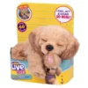 Little Live Pets My Really Real Daxie Puppy