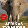 Læs med Sebastian Klein: Afrikas tykhuder