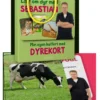 Min egen kuffert med dyrekort - Lær om dyr med Sebastian Klein