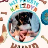 Mit første kæledyr - hund