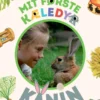 Mit første kæledyr - kanin
