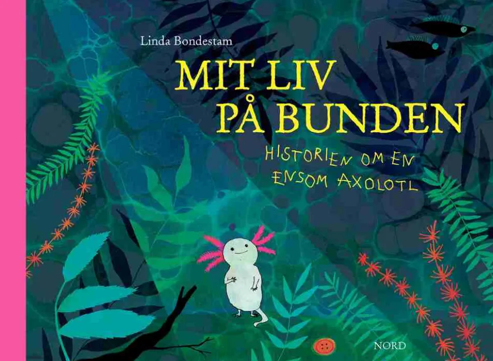 Mit liv på bunden