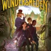Nevermoor 2 - Wundersmeden. Morrigan Crows hemmelige kraft