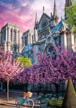 Notre Dame Cathedral of Paris 1000 brikker