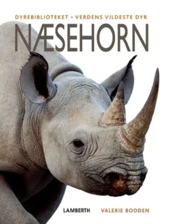 Næsehorn
